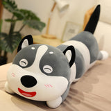 Cute Series  Husky Plush Toy