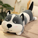 Cute Series  Husky Plush Toy